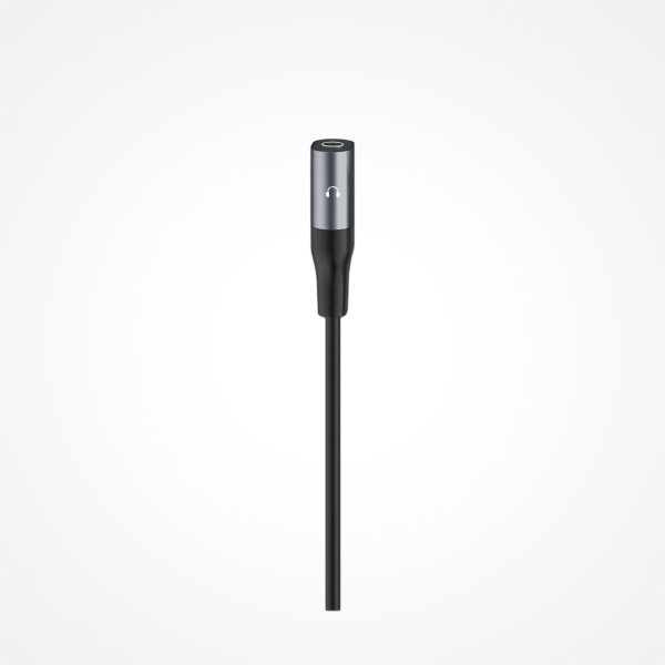 04-IC-AX2215-TypeC Adaptateur double type modèle IC-AX2215