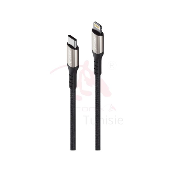19_20250311_123206_0008 Câble de charge Type-C Iphone Modèles IC-UC1636