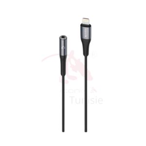 Adaptateur audio Lightning vers auxiliaire 3,5 mm, modèle IC-AX2212