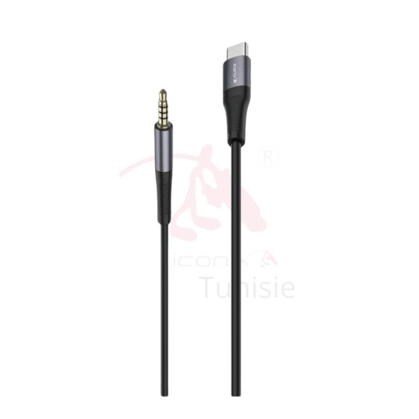 23_20250313_115107_0000 Convertisseur auxiliaire de type modèle IC-AX2217
