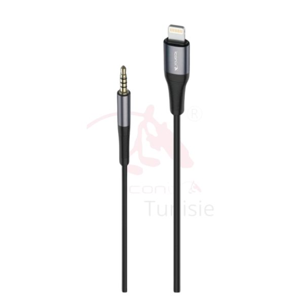 24_20250313_115107_0001 Convertisseur auxiliaire Iphon vers 3,5 mm, modèle IC-AX2216