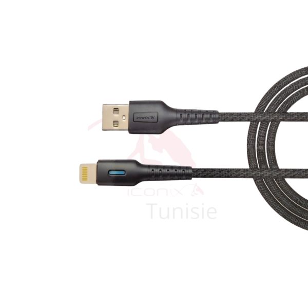 16_20250311_123206_0005 Câble de charge Modèles USB - Iphon IC-UC1637