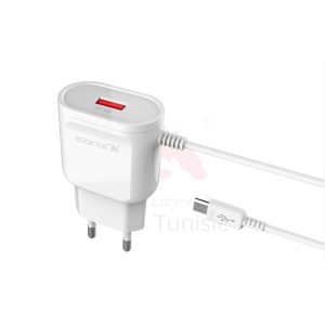 Chargeur Modèle IC-HC1019
