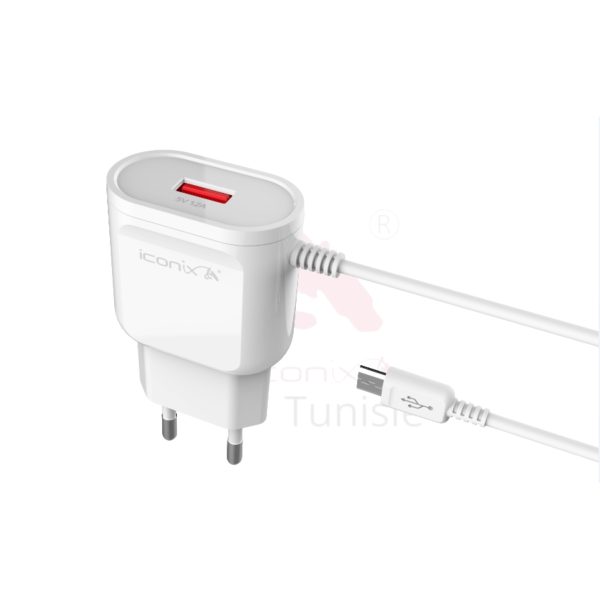 32_20250313_130517_0007 Chargeur Modèle IC-HC1019