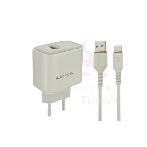 Chargeur Rapide 18W Modèles IC-HC1044