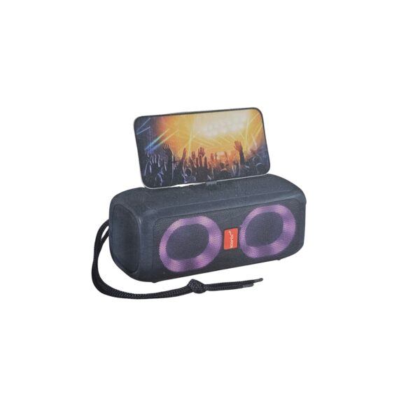 H 1353_20241130_234324_0001 Haut-parleur sans fil Modèle IC-BS1353